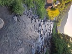 20250606_052810.jpg
